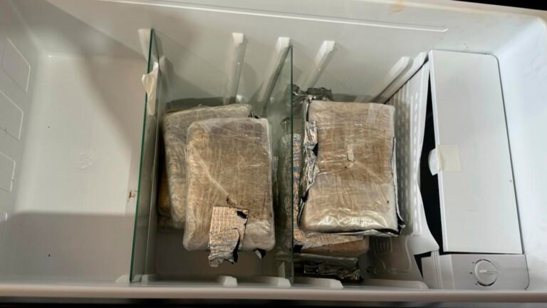 Polícia Civil apreende 8kg de drogas, em Altamira