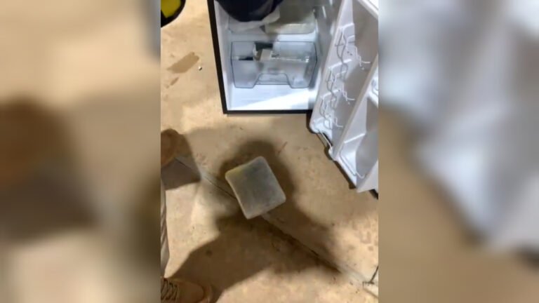 Vídeo: PRF apreende mais 8 tabletes de maconha em ônibus na BR-163