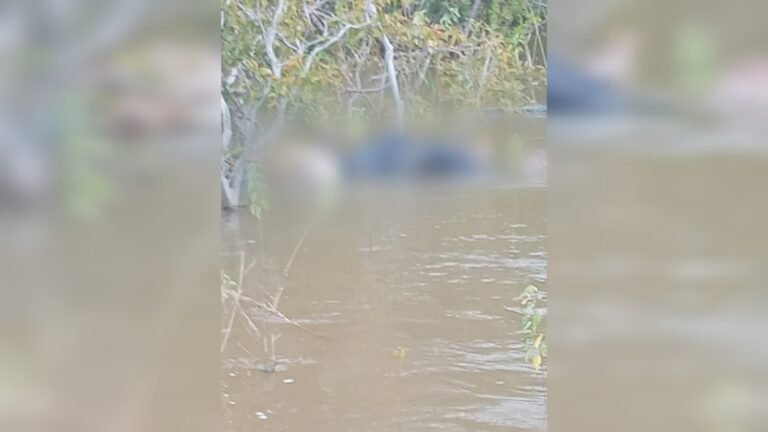 Vídeo: Naufrágio de bajara deixa uma pessoa morta e três desaparecidas no Rio Tapajós