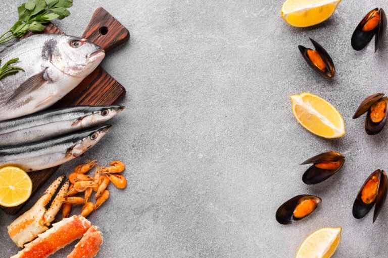 Quais são as principais fontes de Vitamina B12?