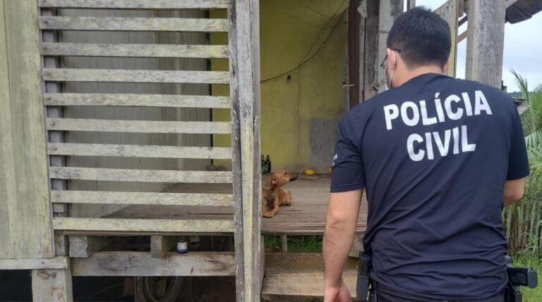 Animais abandonados são resgatados na cidade de Uruará