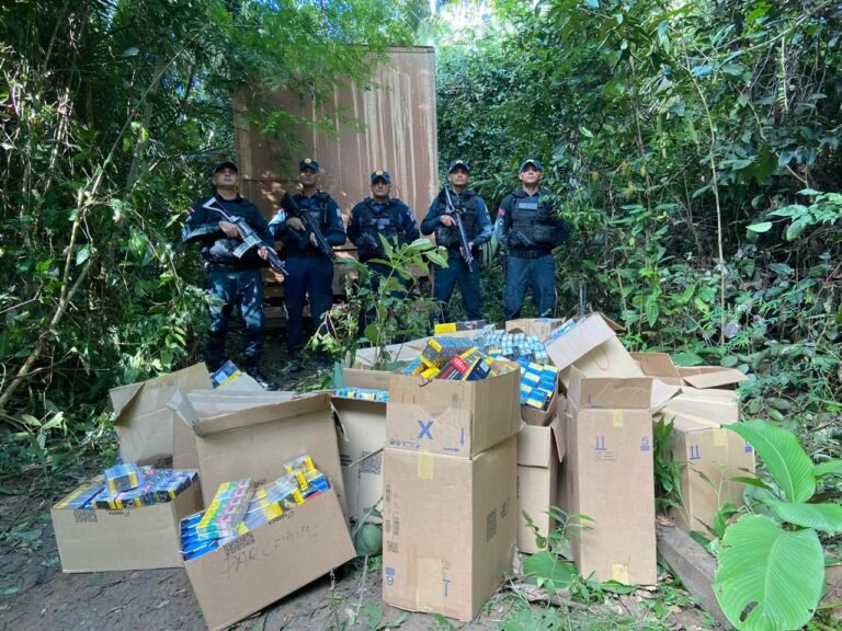 Polícia Militar recupera veículo e carga roubada na BR-230 em Placas, no PA