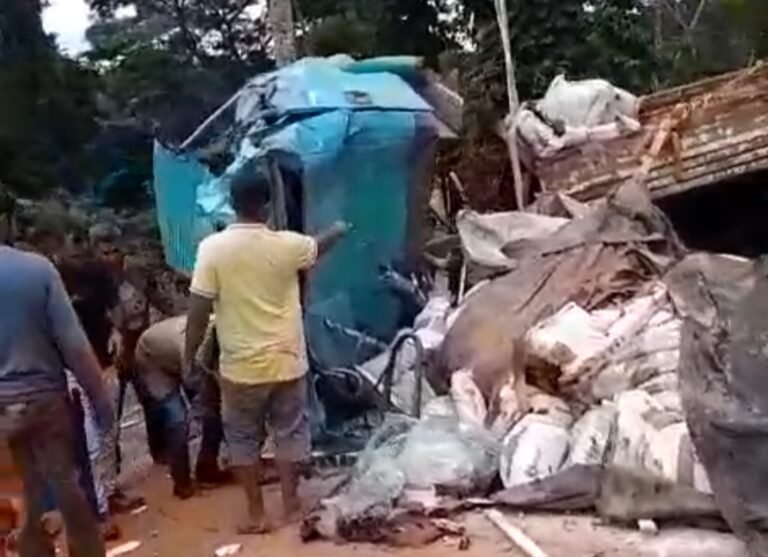 Vídeo: Caminhão tomba na ladeira mata cobra na transgarimpeira