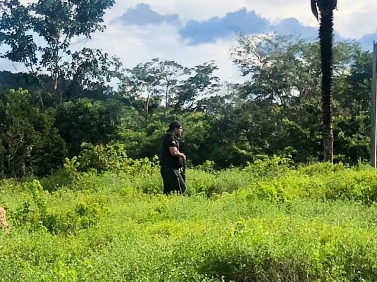 Policias Civil e Militar intensificam ações de combate à criminalidade em Rurópolis, no Pará