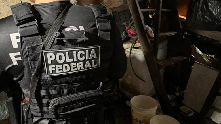 PF prende homem que vendia pornografia infantojuvenil online
