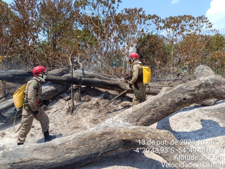 Vídeo: Prevenção e combate a incêndios na região amazônica