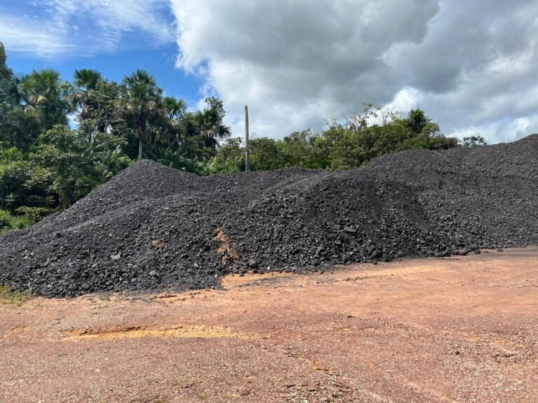 PF e Ibama apreendem cerca de 30 mil toneladas de manganês