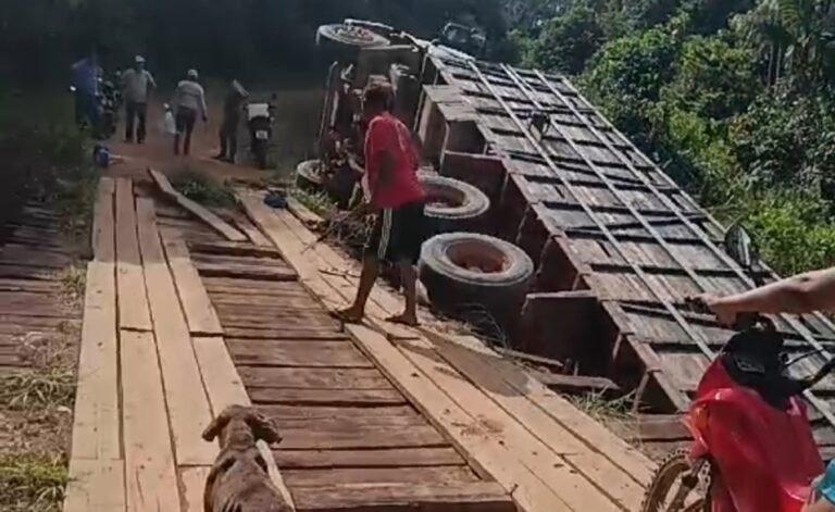 Vídeo: Caminhão boiadeiro tomba na vicinal norte sul em Miritituba, no PA