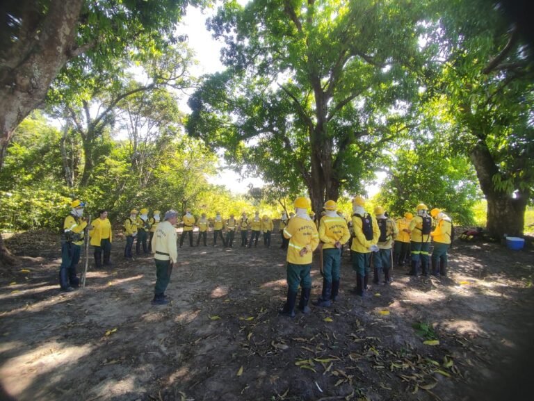 Brigada do Prevfogo em Itaituba intensifica ações de prevenção a incêndios florestais