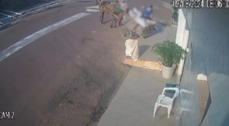 Vídeo: Denúncia de maus-tratos: Carroça sobrecarregada é flagrada em Itaituba