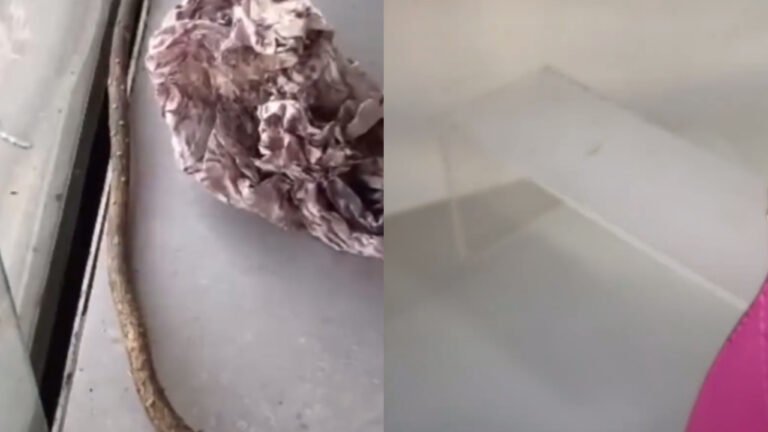 Estabelecimento comercial em Itaituba é alvo de furto utilizando método inusitado
