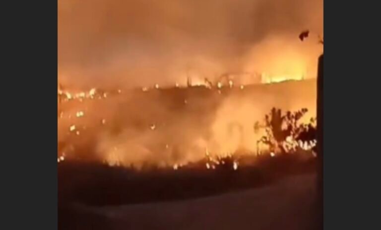 Vídeo: Incêndio em Área de Vegetação Ameaça Residências em Novo Progresso