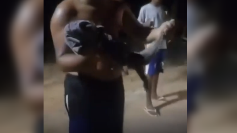 Video: Filhote de jacaré é resgatado no Ramal Jacarezinho em Itaituba