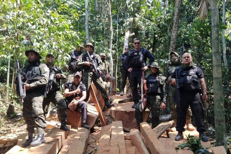 Operação Curupira ultrapassa 500 dias de atuação e prende dois homens por crime ambiental em São Félix do Xingu