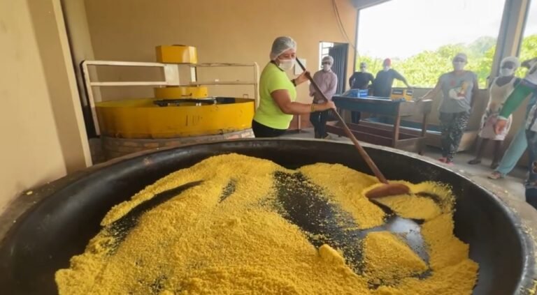 Comunidade indígena ganha primeira agroindústria de farinha certificada de Altamira