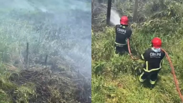 Vídeo: Incêndio em Vegetação Ameaça Residências em Itaituba