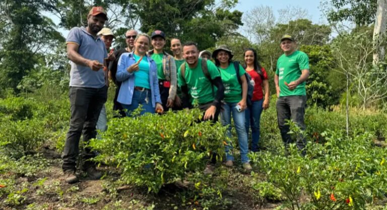 Dia de Campo no Viveiro Tapajós: Aprendizado Prático em Ciências Agrícolas