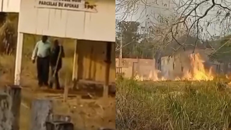 Moradores Filmam Ação em Área de Vegetação em Itaituba