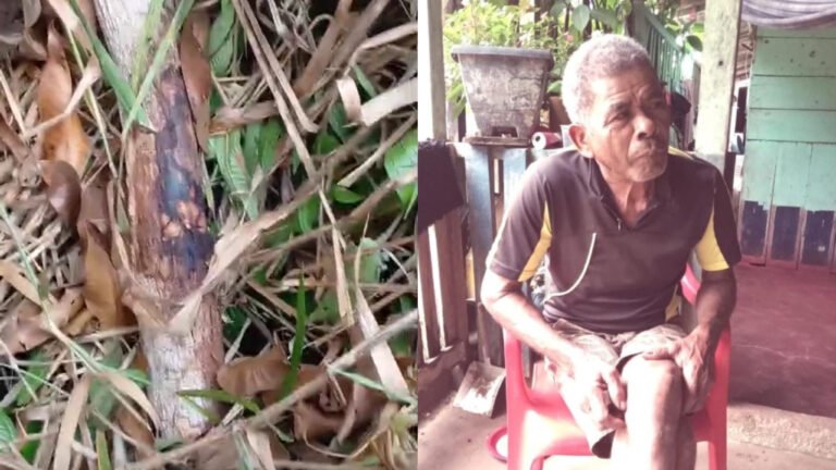 Corpo de Homem é Encontrado em Área de Mata próximo a comunidade de cabaçal