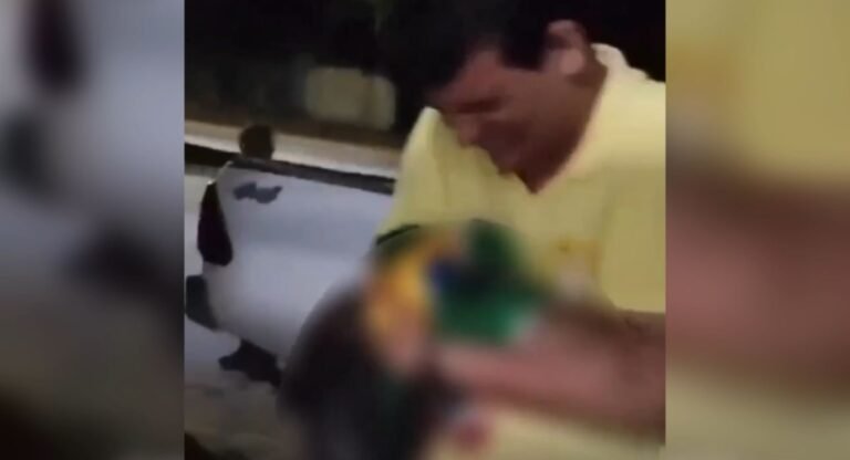 Vídeo: Candidato a prefeito de Uruará denuncia ter sido vítima de atentado a tiros, no município