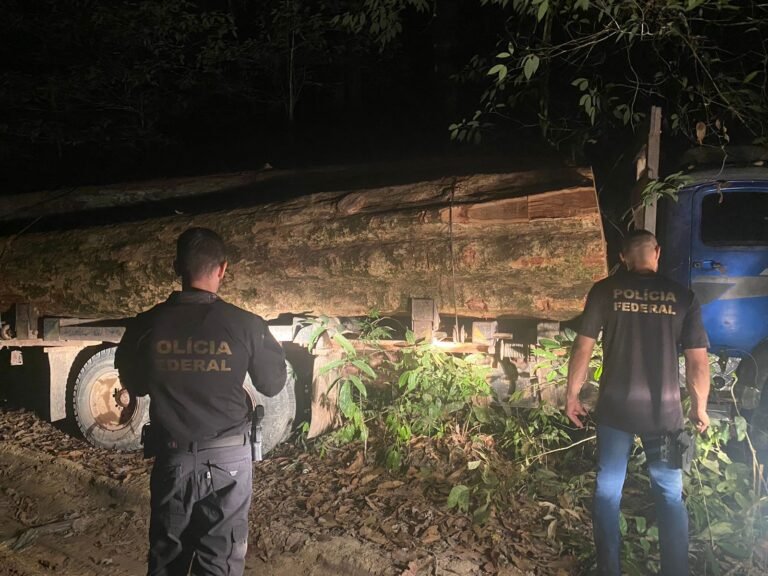 Operação ‘Madeira na Noite’: Combate ao Desmatamento Ilegal na Amazônia