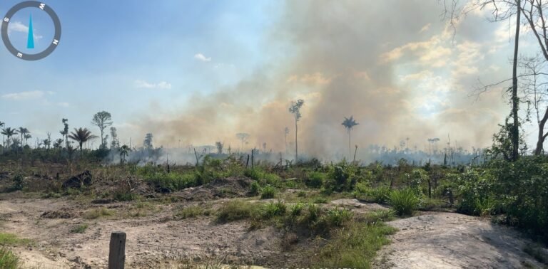 Polícia Federal Prende Suspeito de Queimadas Ilegais em Novo Progresso, no PA