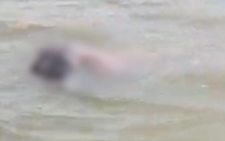 VÍDEO; Corpo de homem é encontrado boiando no Rio Tapajós entre Itaituba e Miritituba