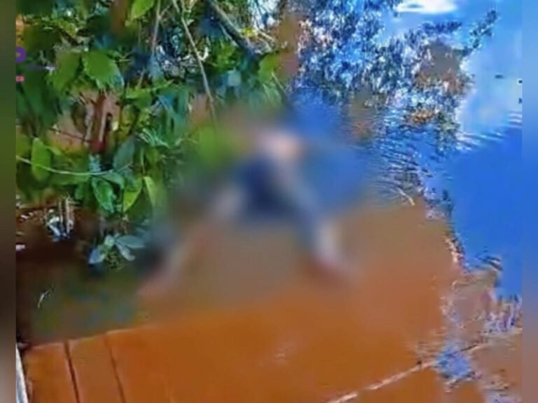 Corpo é encontrado em avançado estado de decomposição às margens do Rio Jamanxim, em Novo Progresso