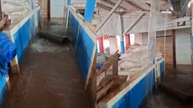 VÍDEO; Chuva forte provoca alagamento na Feira Livre Municipal de Rurópolis