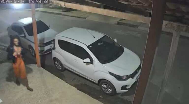 VÍDEO; Mulher é flagrada furtando residência no bairro Jardim das Araras