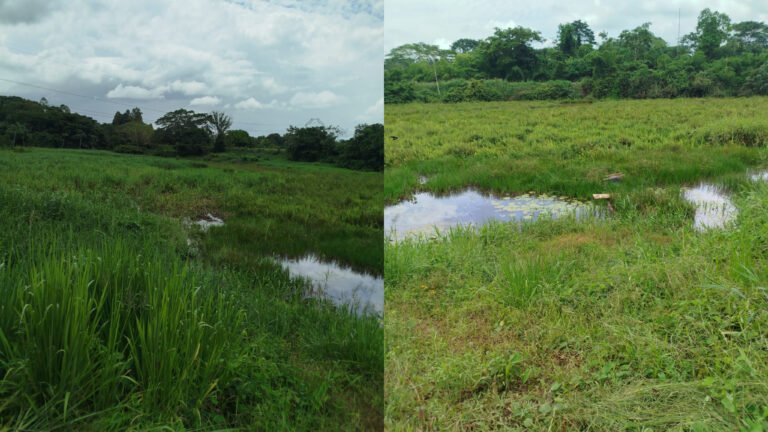 VÍDEO; Moradores denunciam suposto descaso com água consumida em Medicilândia
