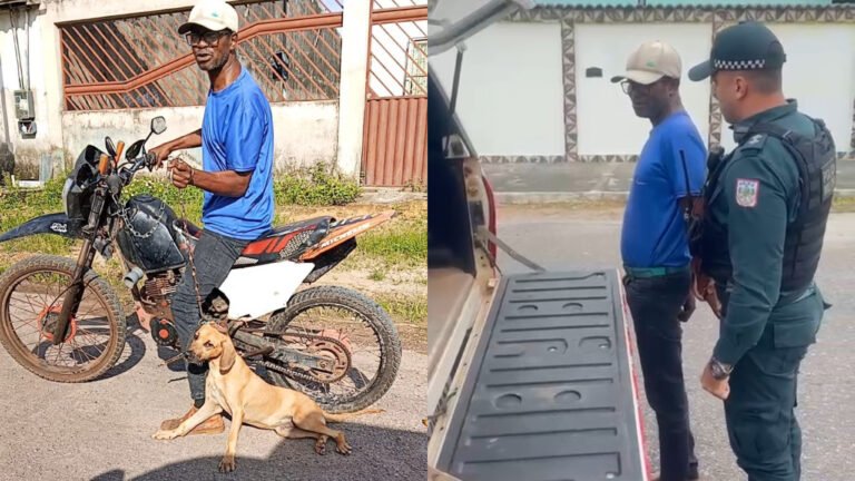 VÍDEO; Homem é preso em flagrante por maus-tratos a animal em Breu Branco