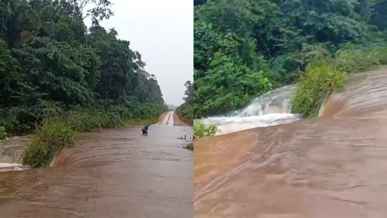 VÍDEO; Igarapé transborda e acende alerta na BR-230 entre Itaituba e Jacareacanga
