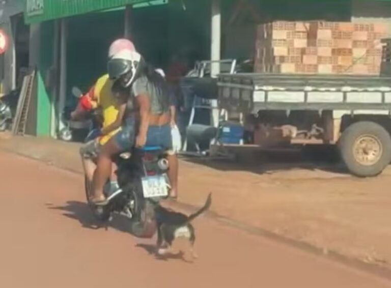 Vídeo mostra cachorro sendo arrastado por motocicleta em Santarém