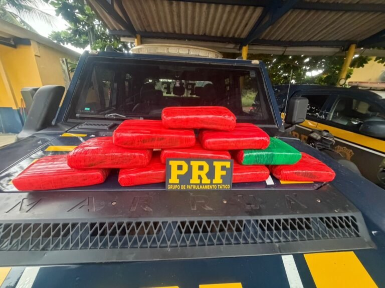PRF apreende quase 12 quilos de skunk em ônibus na BR-230