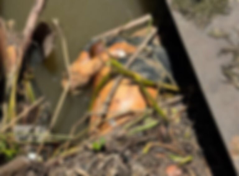 VÍDEO; Corpo em estado de decomposição é encontrado preso em estrutura no porto da Cargill em Miritituba