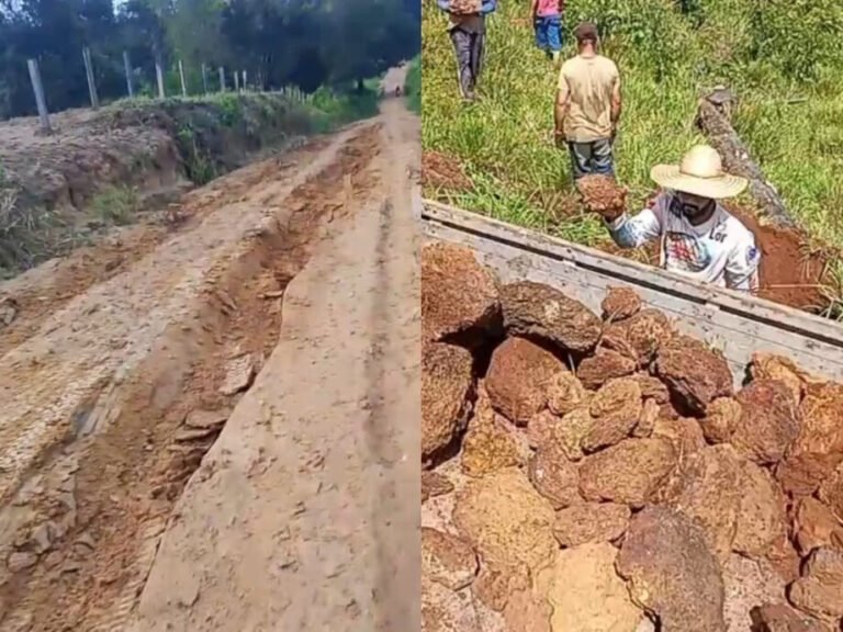 VÍDEO; Moradores denunciam precariedade de estradas nas comunidades Sai Cinza e Vicinal do Cacau, em Itaituba
