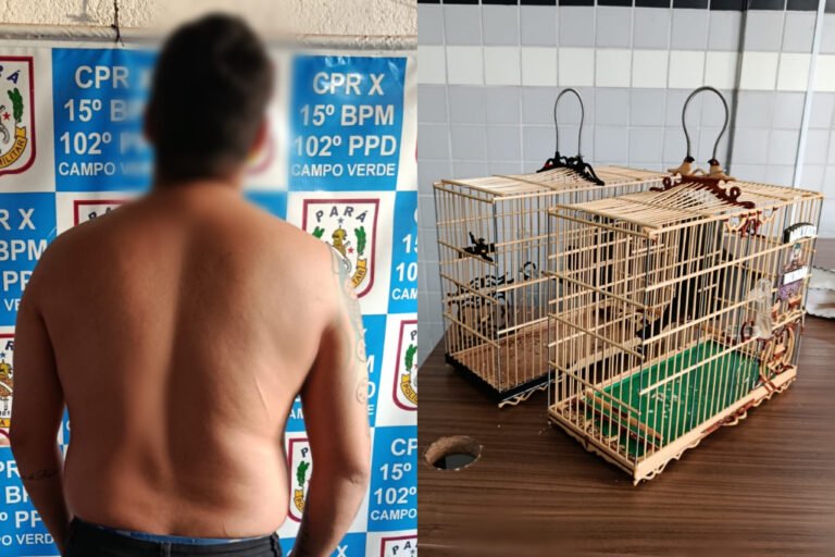 Homem é conduzido à delegacia por transportar curiós sem documentação exigida