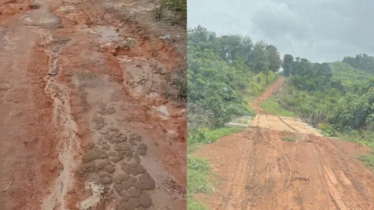 Estrada tomada por buracos revolta moradores da Vicinal do Elmo, em Placas