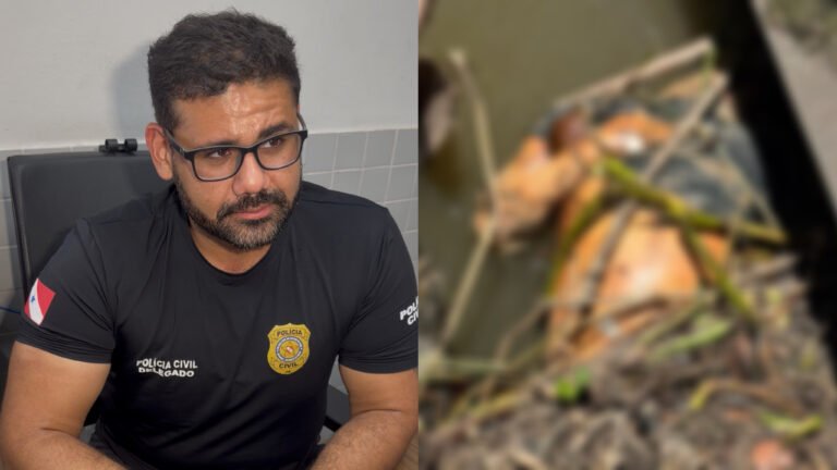 VÍDEO; Delegado fala sobre corpo encontrado em avançado estado de decomposição no Rio Tapajós em Miritituba