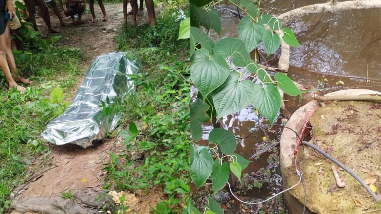 VÍDEO; Homem morre após sofrer choque elétrico às margens do rio Piracanã, em Itaituba
