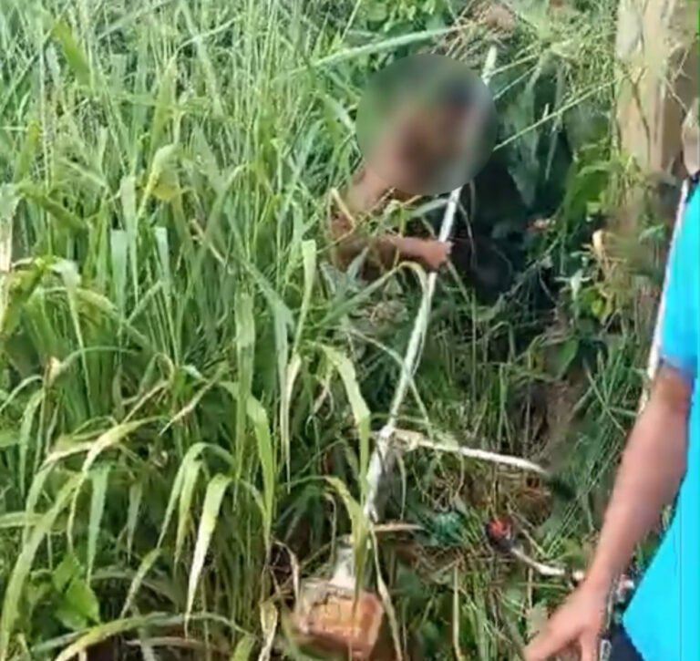 VÍDEO; Jovem é acusado de furtar duas roçadeiras e população recupera objetos em Medicilândia