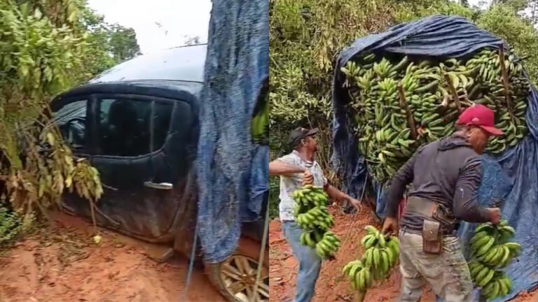 VÍDEO; Caminhonete carregada de bananas quase tomba em ladeira da Vicinal do Cacau