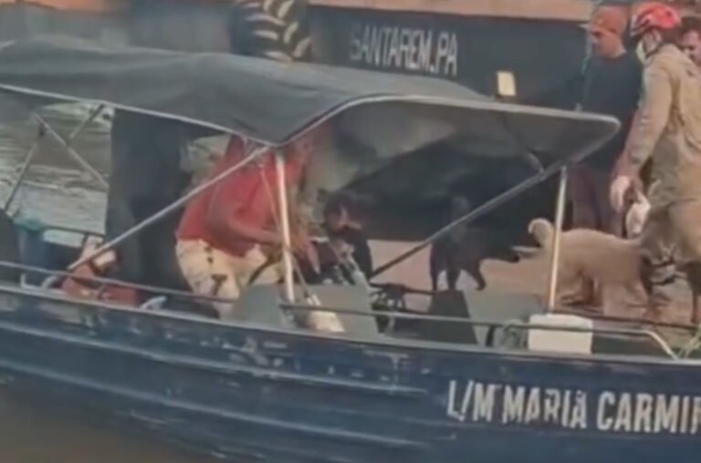 VÍDEO; Parto em plena travessia: mulher dá à luz em voadeira no rio Tapajós, em Itaituba