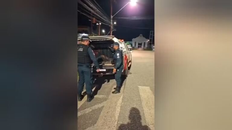 Colisão frontal entre motociclistas deixa um ferido e um preso por embriaguez em Santarém