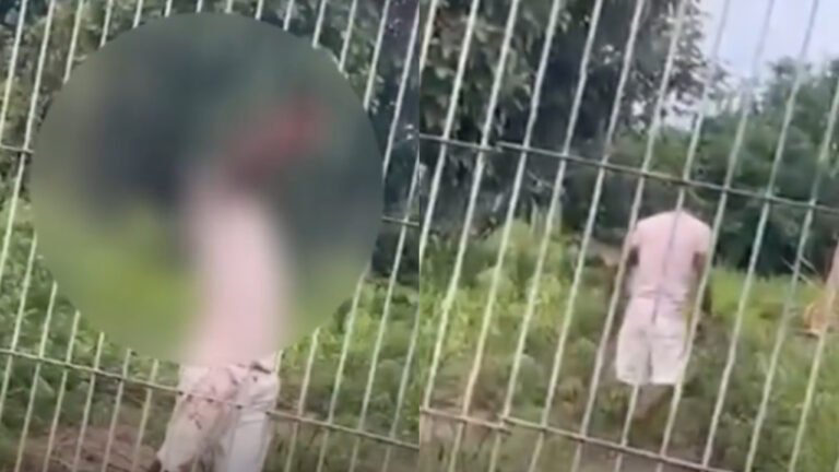 VÍDEO; Homem sofre choque elétrico ao tentar furtar fios em torre de prédio abandonado em Itaituba