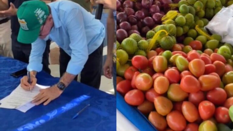 Prefeito sanciona lei que cria selo de inspeção vegetal em Itaituba